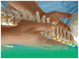 MANUAL THERAPY